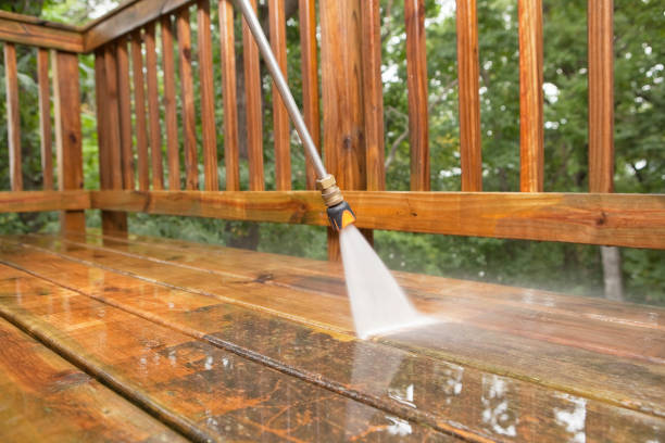 Animal Enclosure Cleaning in Necedah, WI